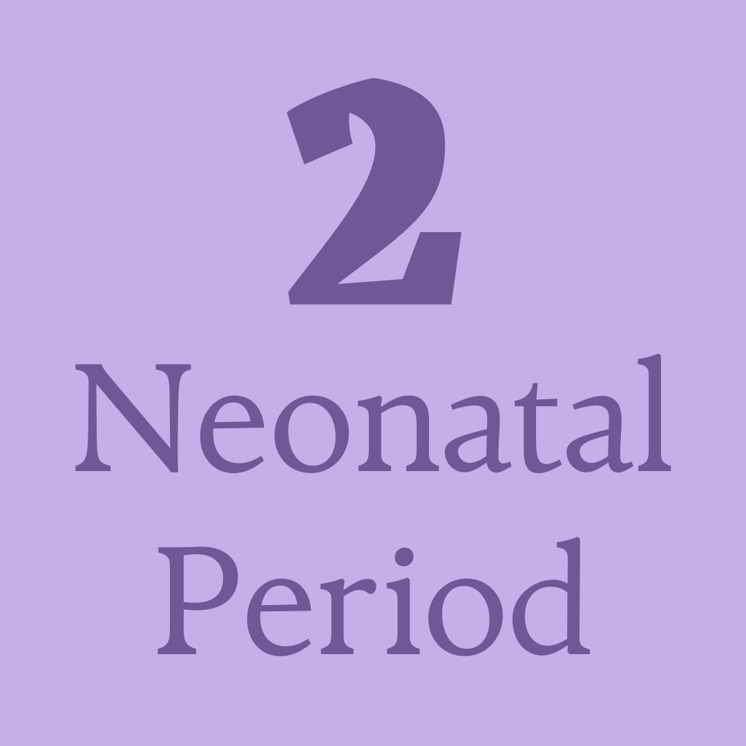 Number two neonatal period on purple