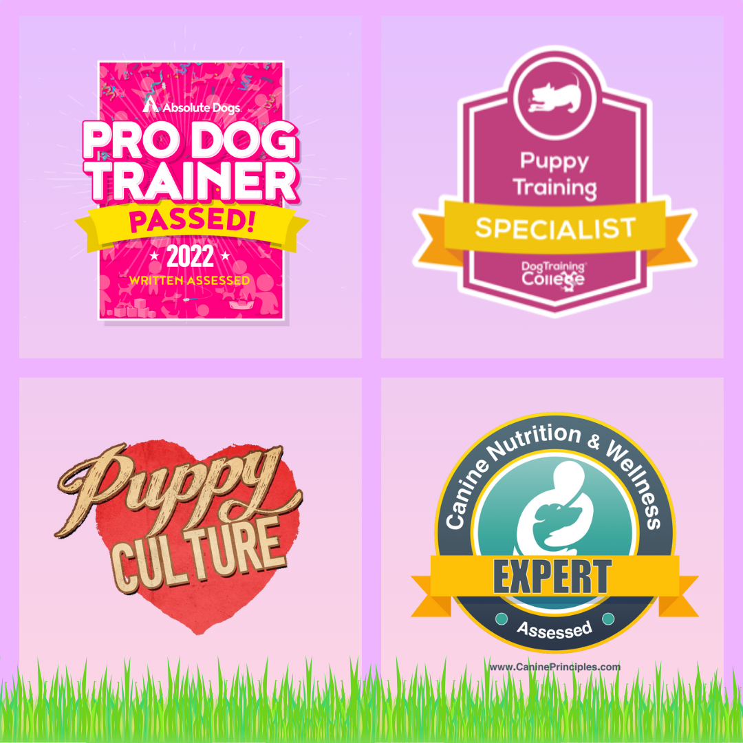 Square with grid and four smaller squares each with a logo from canine organisations and qualifications including puppy training specialist pro dog trainer passed expert in canine nutrition and wellness and puppy culture