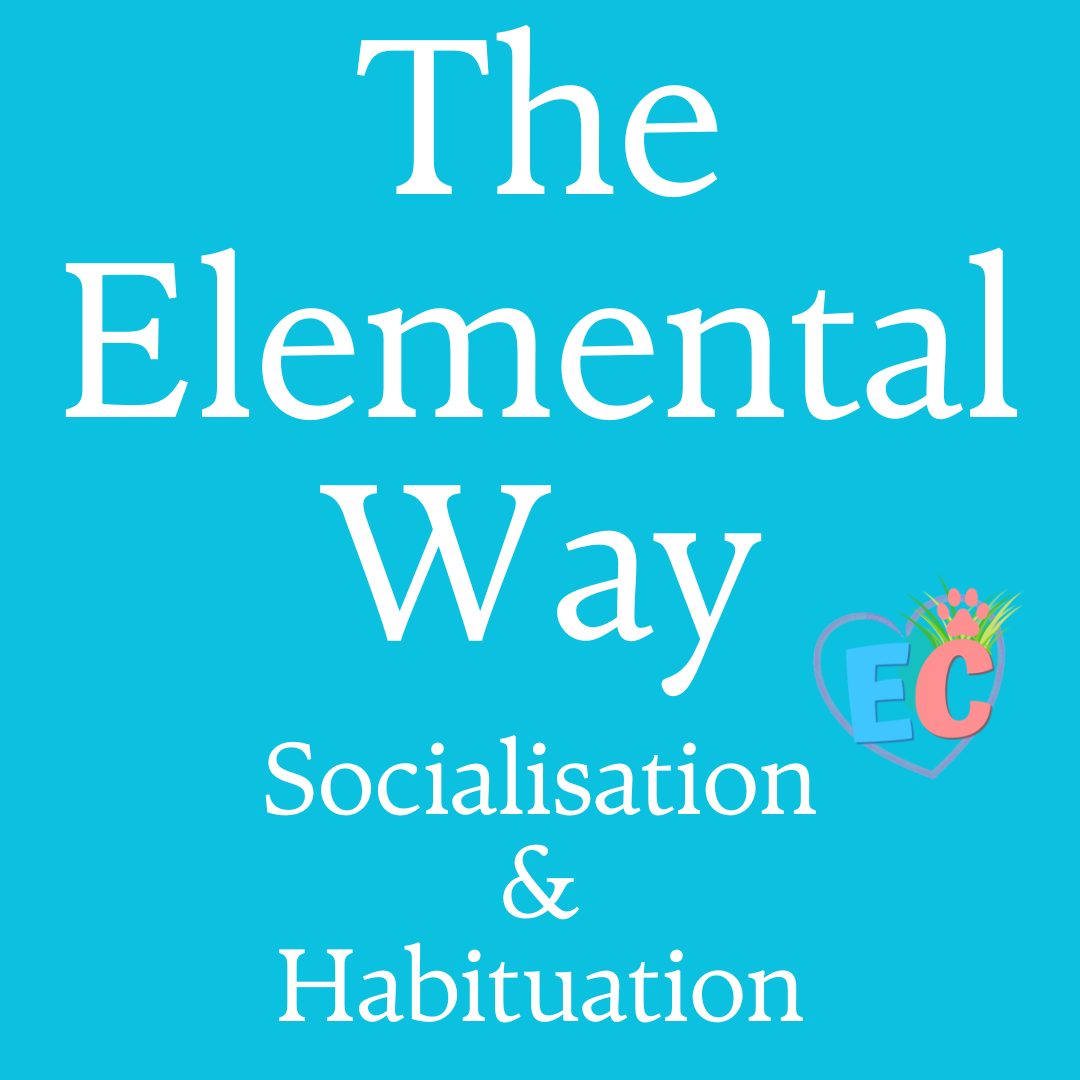 The elemental way socialisation and habituation