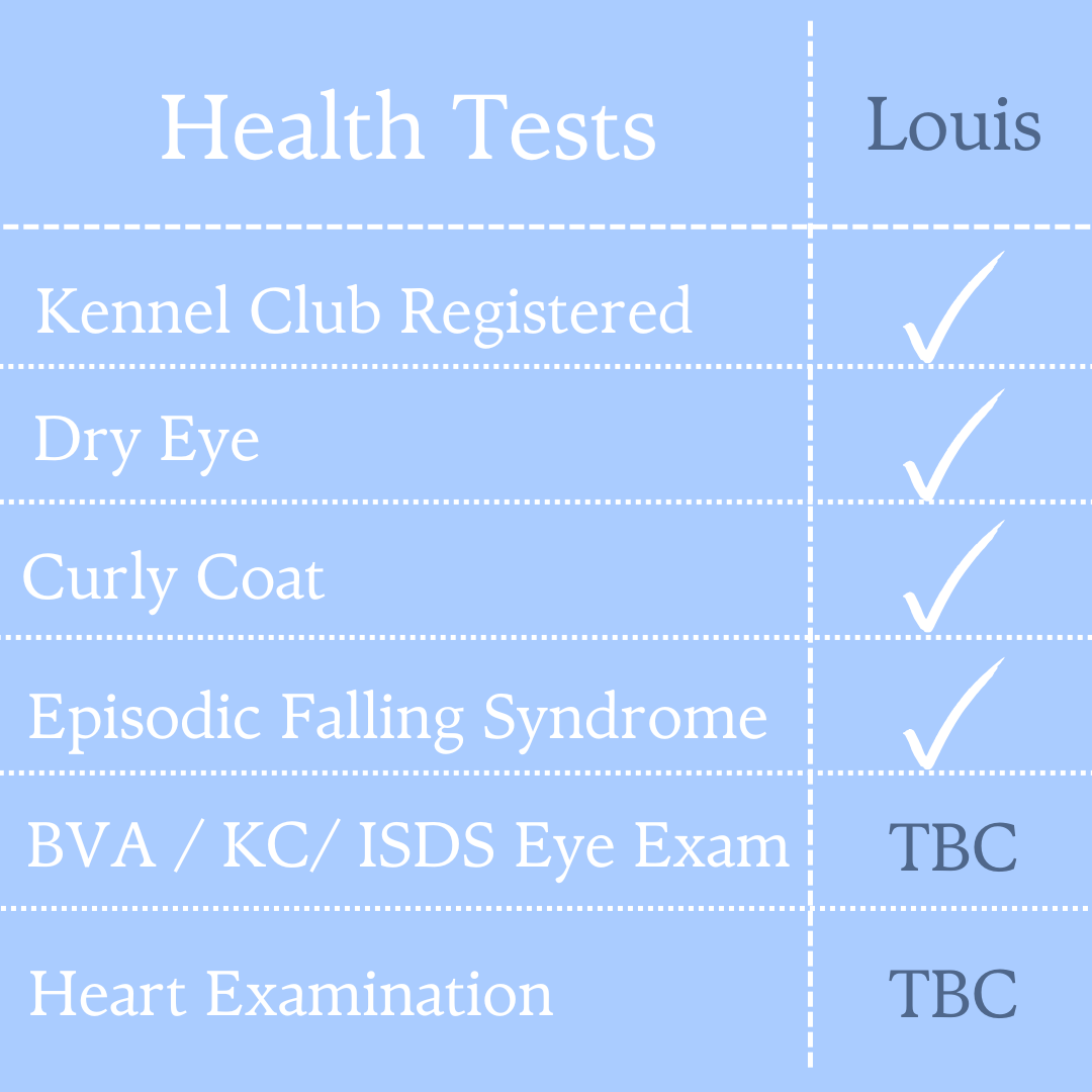 louis-health-tests