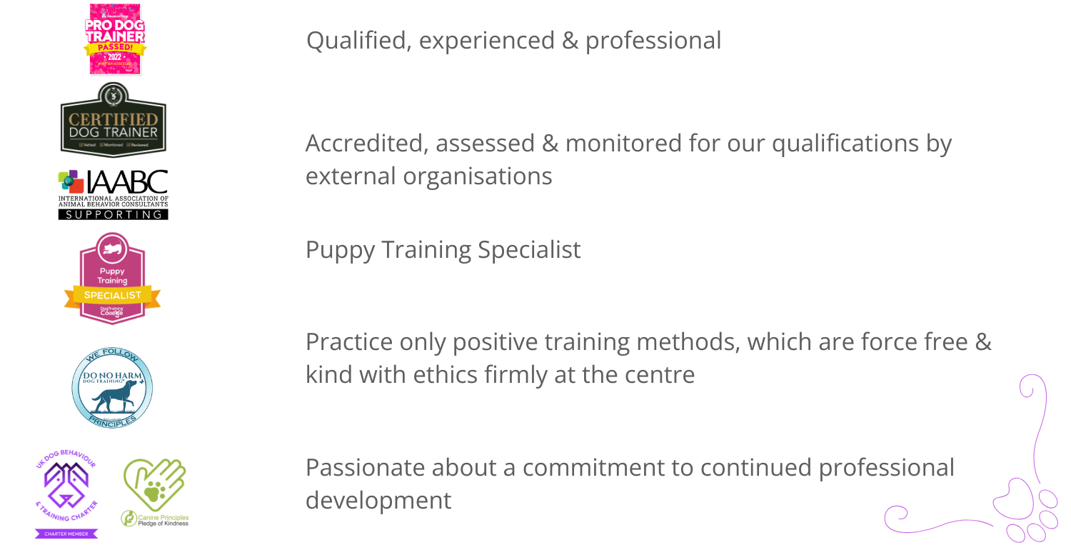 accredited-qualified-professional-cavalier-specialist-2026 (1)