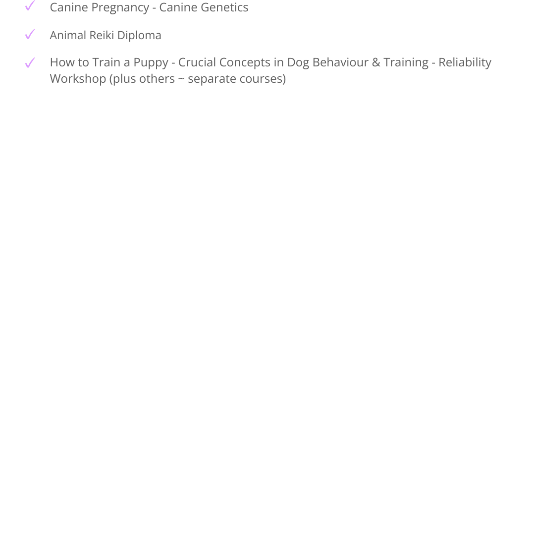 more-qualifications-and-courses-3